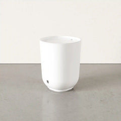 Step Trash Can With Lid