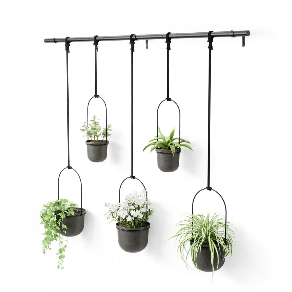 Triflora Hanging Planters, Set of 5